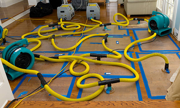 Professional Storm Water Damage Restoration technician working in Eudora, KS