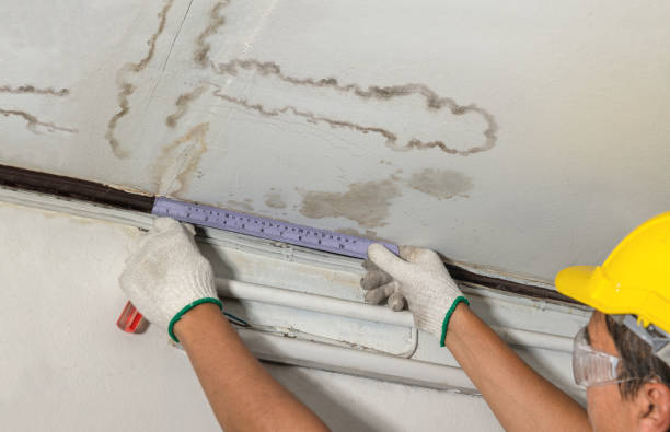Affordable Water Damage Repair solutions in Eudora, KS